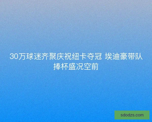 30万球迷齐聚庆祝纽卡夺冠 埃迪豪带队捧杯盛况空前