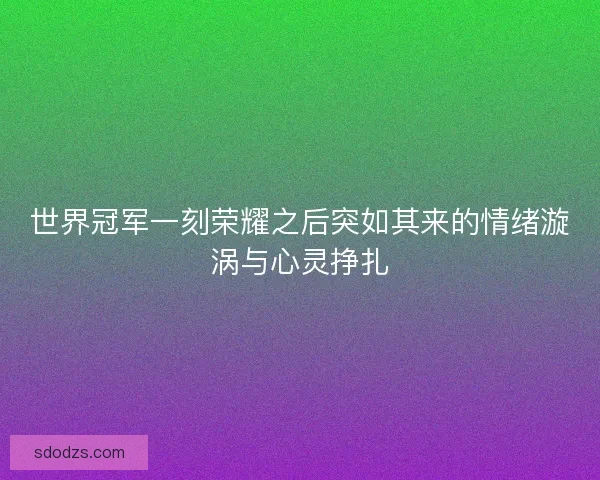 世界冠军一刻荣耀之后突如其来的情绪漩涡与心灵挣扎 世界冠军一刻荣耀之后突如其来的情绪漩涡与心灵挣扎