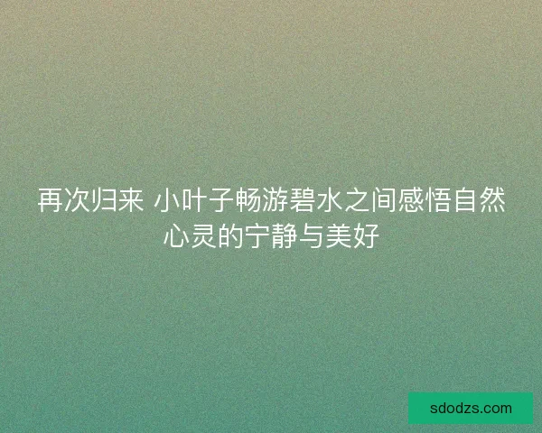 再次归来 小叶子畅游碧水之间感悟自然心灵的宁静与美好