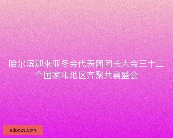 哈尔滨迎来亚冬会代表团团长大会三十二个国家和地区齐聚共襄盛会