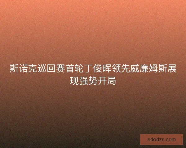 斯诺克巡回赛首轮丁俊晖领先威廉姆斯展现强势开局 斯诺克巡回赛首轮丁俊晖领先威廉姆斯展现强势开局